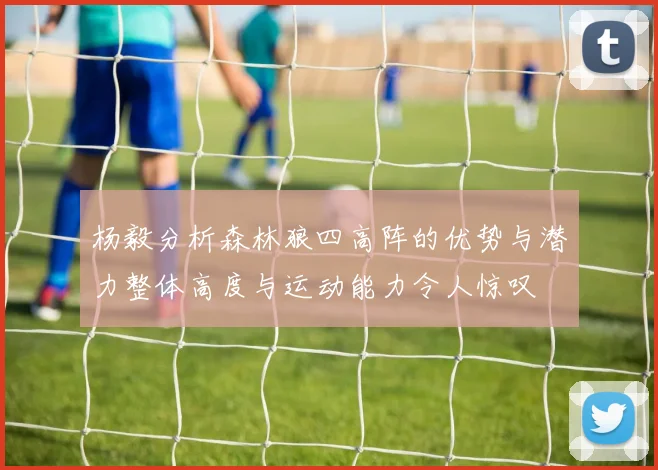 杨毅分析森林狼四高阵的优势与潜力整体高度与运动能力令人惊叹