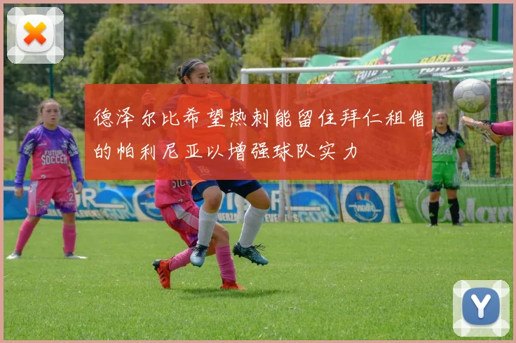 德泽尔比希望热刺能留住拜仁租借的帕利尼亚以增强球队实力