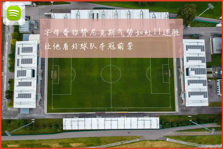 字母哥称赞尼克斯气势如虹11连胜让他看好球队夺冠前景